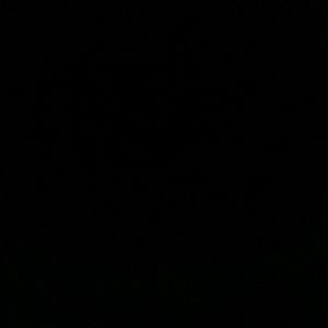 Meet your Posher, Dwayne